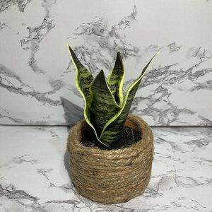 Handamade Wooden Flower Bouquet Room Decor